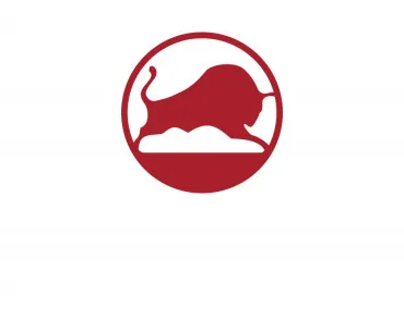 БЕЛШИНА
